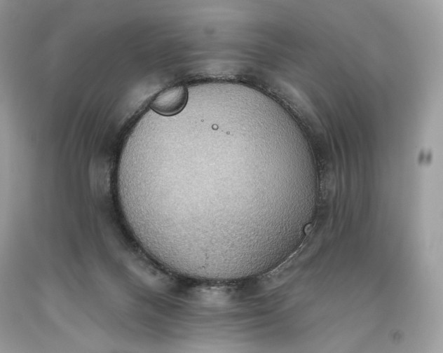 X0000093520120200710261228