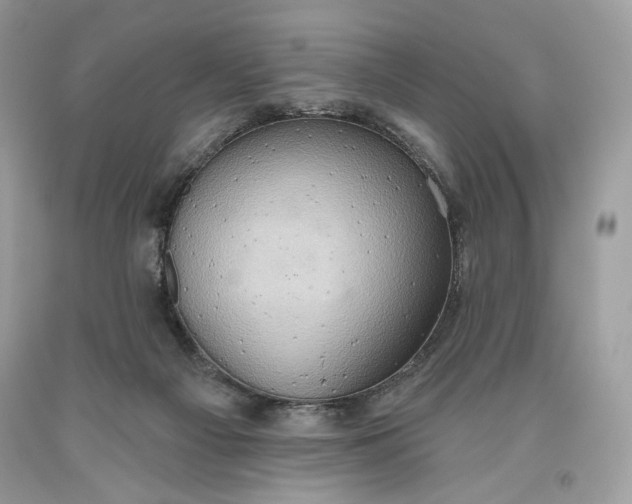 X0000093520121200710261228