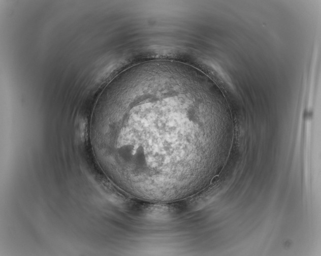 X0000093520123200710261228