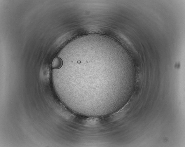 X0000093520124200710261228