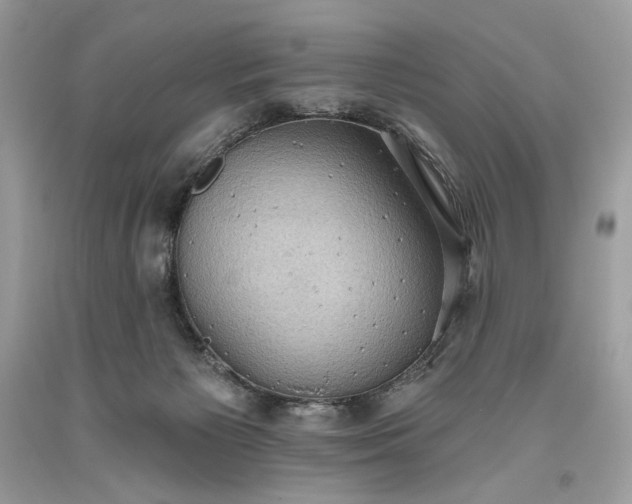 X0000093520125200710261228