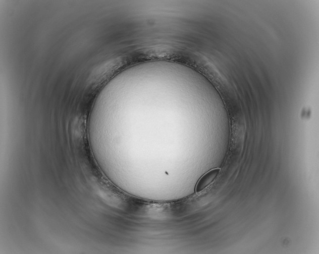 X0000093520126200710261228