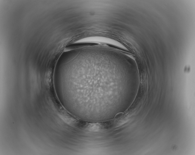 X0000093520127200710261228