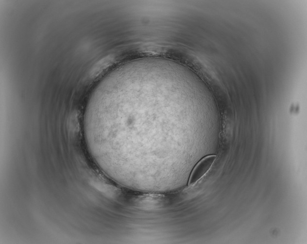 X0000093520128200710261228