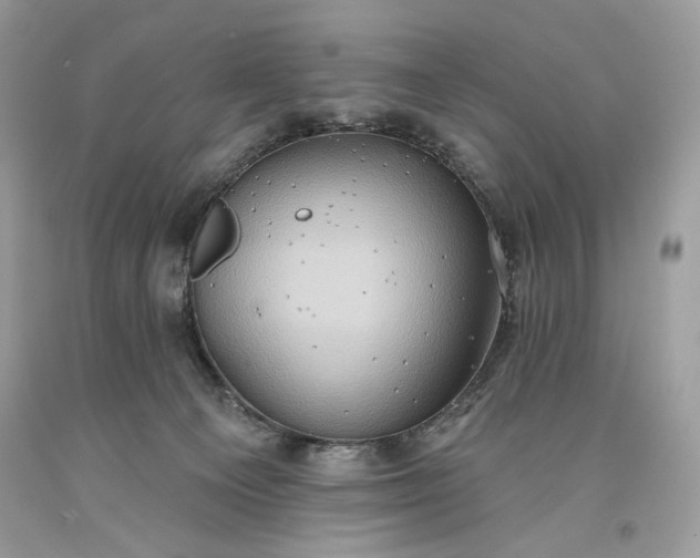 X0000093520129200710261228