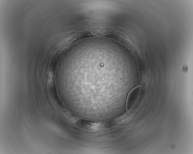 X0000093520130200710261228