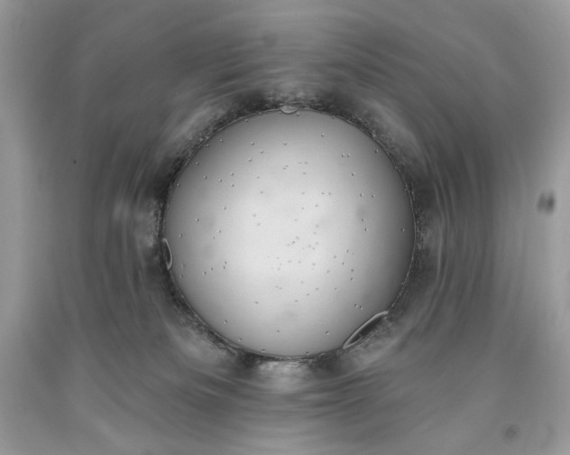 X0000093520133200710261228