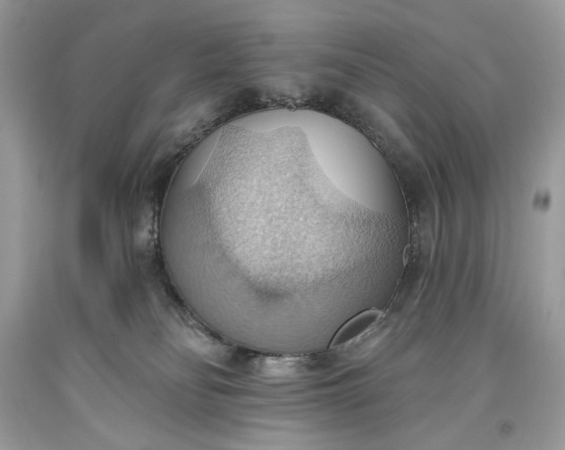 X0000093520134200710261228