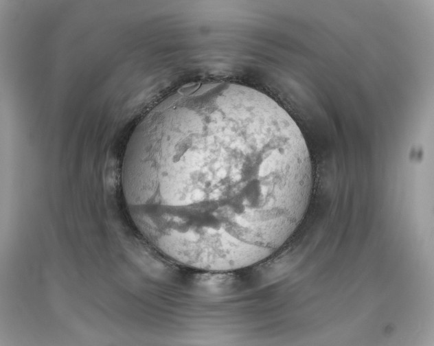 X0000093520135200710261228