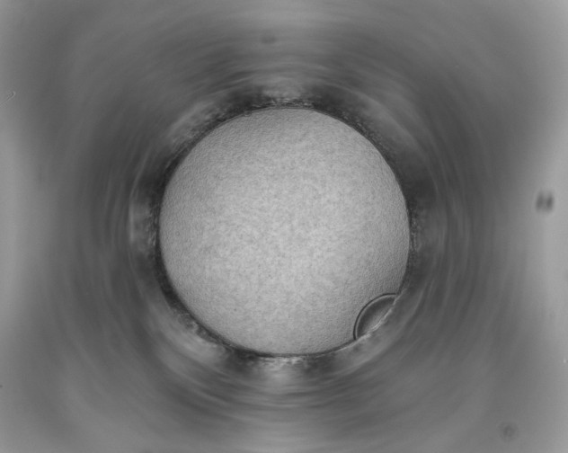 X0000093520136200710261228