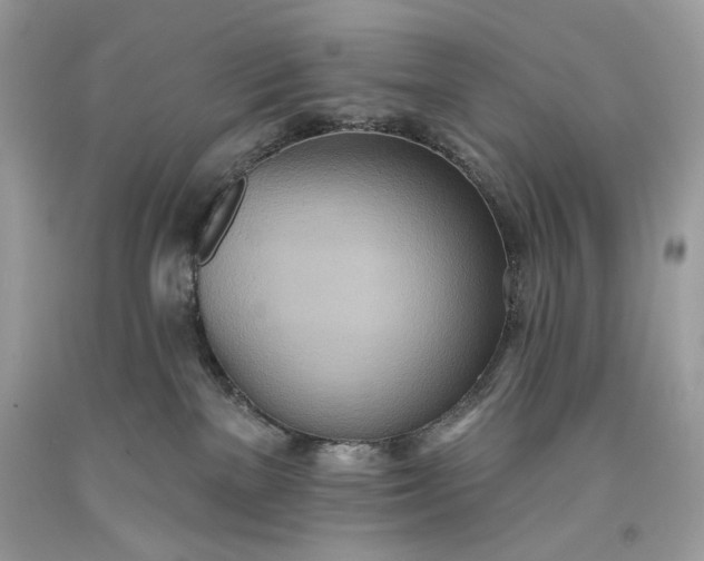 X0000093520137200710261228