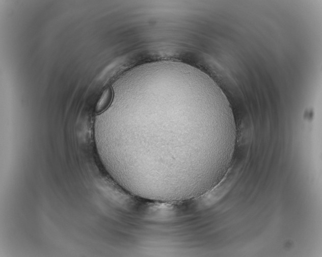 X0000093520140200710261228