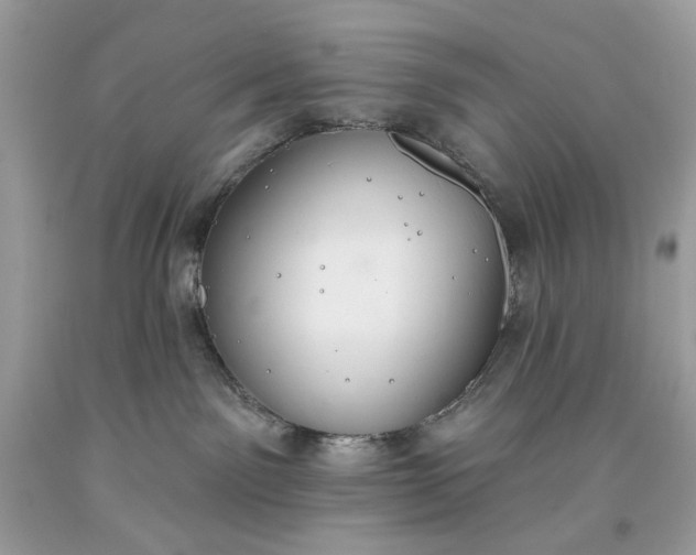 X0000093520141200710261228