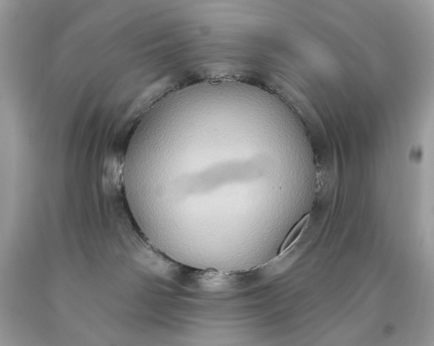 X0000093520142200710261228