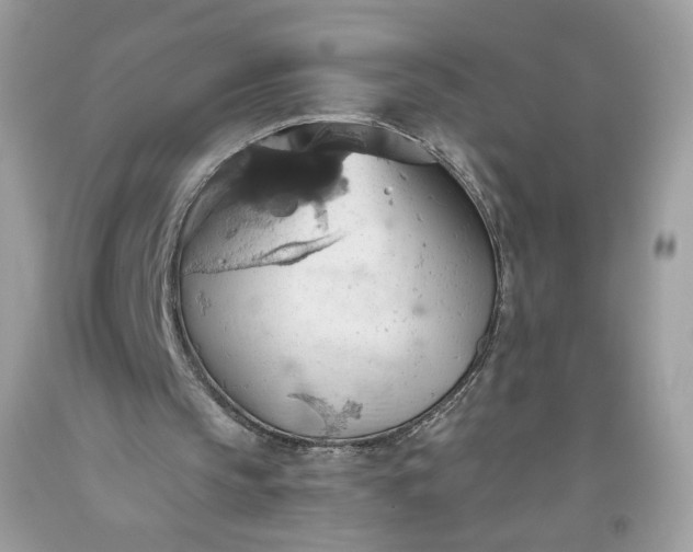 X0000093520145200710261227