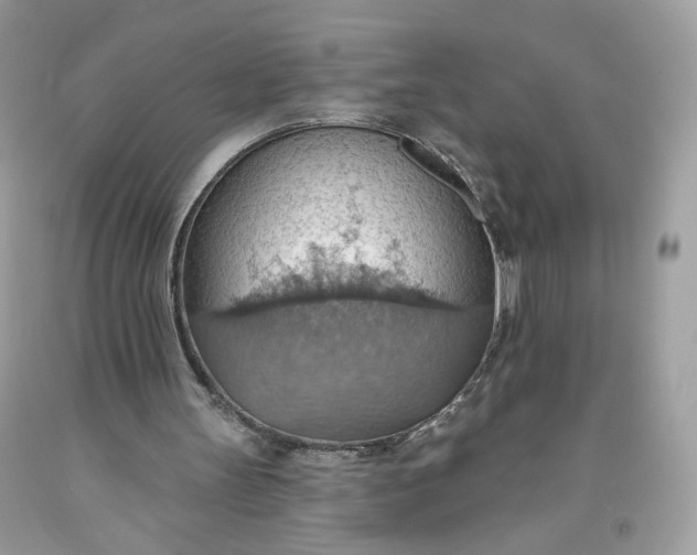 X0000093520147200710261227