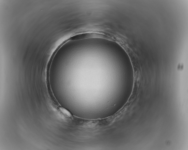 X0000093520148200710261227