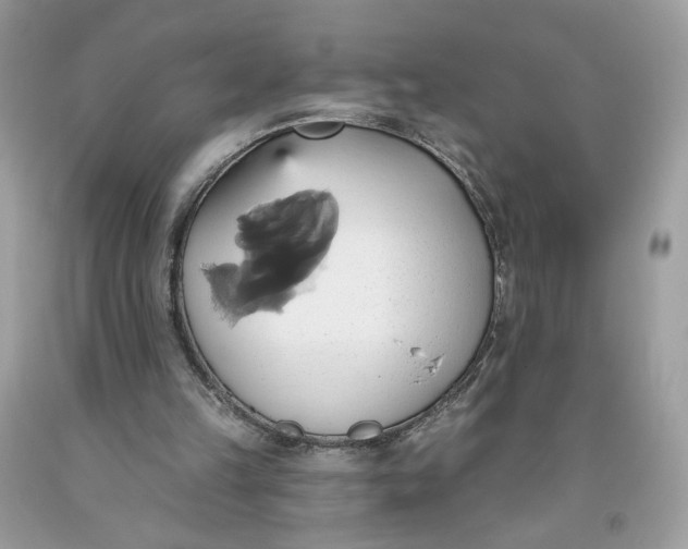 X0000093520149200710261227