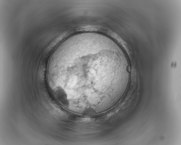 X0000093520153200710261227