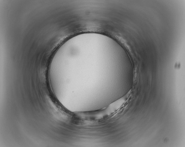 X0000093520154200710261227