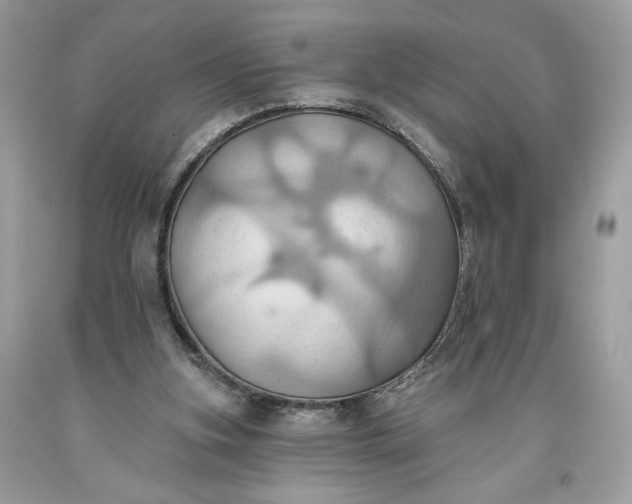 X0000093520155200710261227