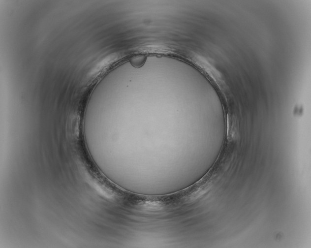 X0000093520157200710261227