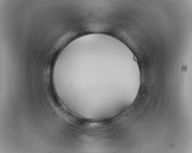 X0000093520163200710261227