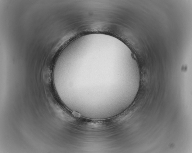 X0000093520164200710261227