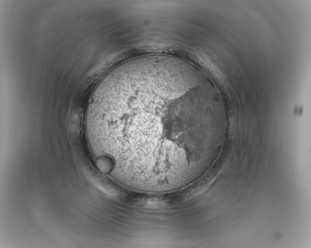 X0000093520165200710261227