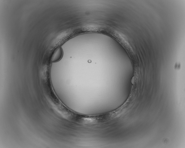 X0000093520167200710261227