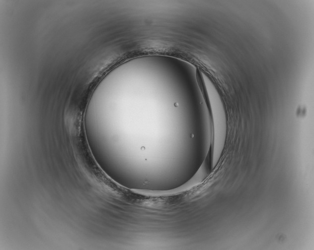 X0000093520168200710261227