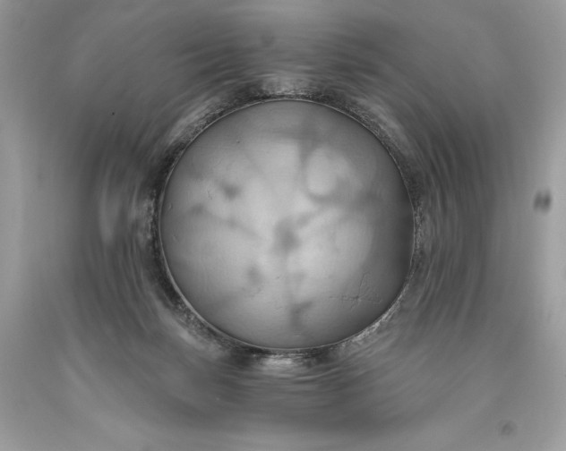 X0000093520171200710261227