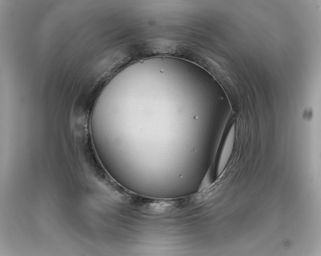 X0000093520172200710261227