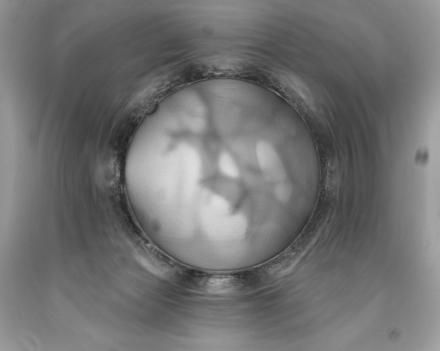 X0000093520173200710261227