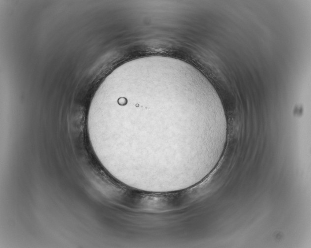 X0000093520174200710261227