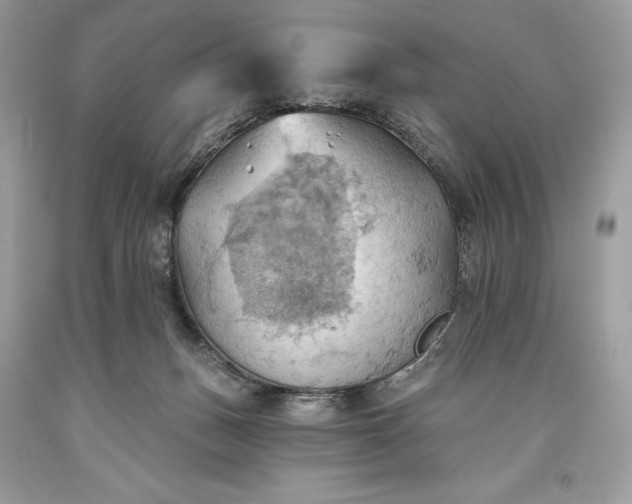 X0000093520175200710261227