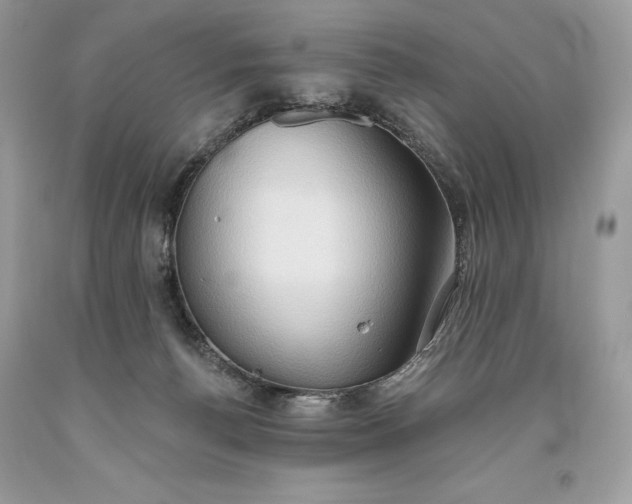 X0000093520176200710261227