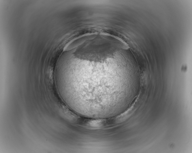 X0000093520178200710261227