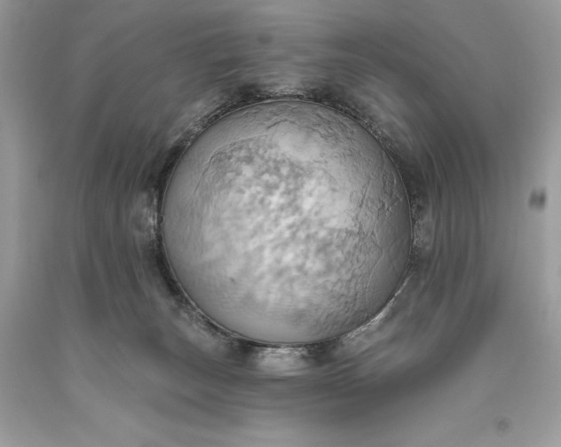 X0000093520179200710261227