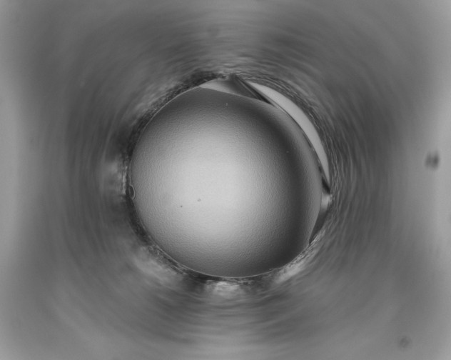 X0000093520180200710261227