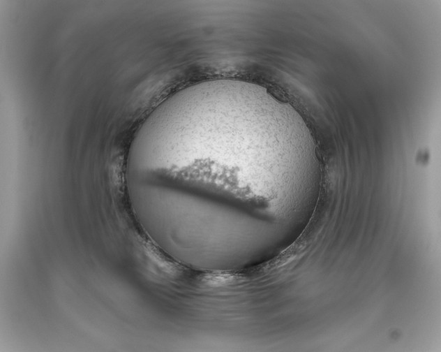 X0000093520181200710261227