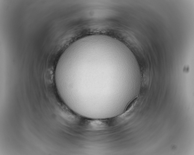 X0000093520183200710261227