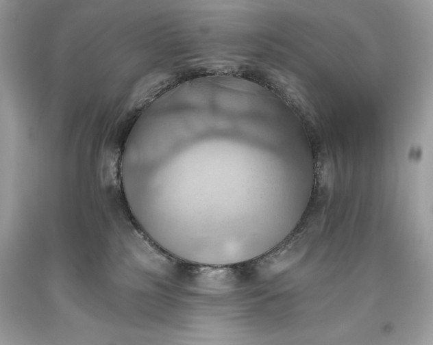 X0000093520185200710261227