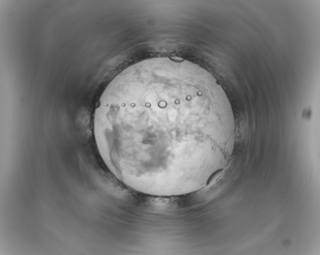 X0000093520187200710261228