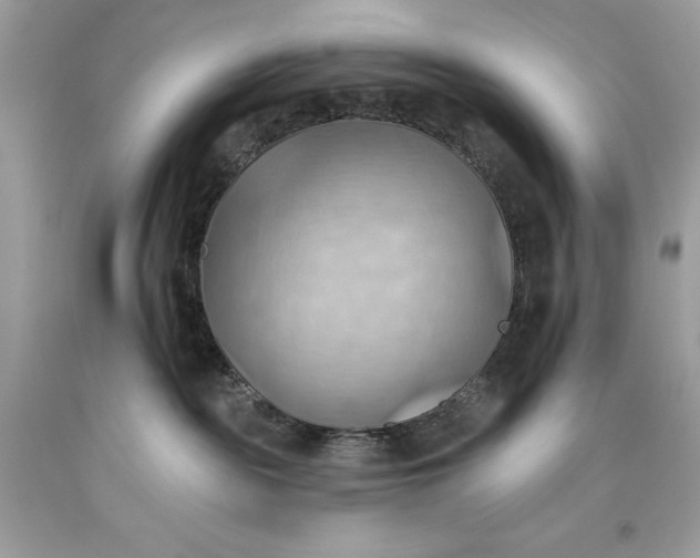 X0000093520189200710261228