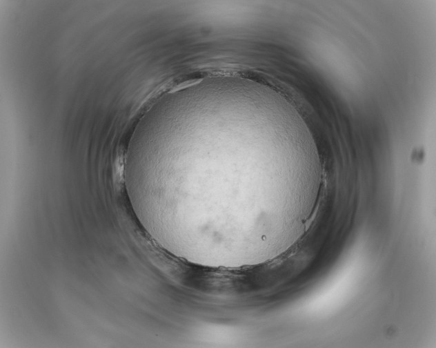 X0000093520190200710261228