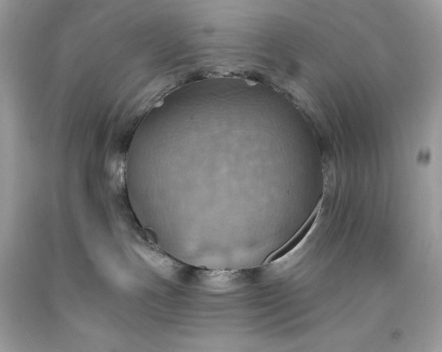 X0000093520191200710261228