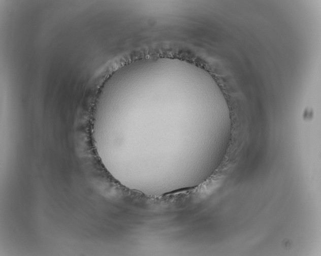 X0000093520192200710261228