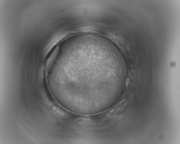 X0000093520194200710261227