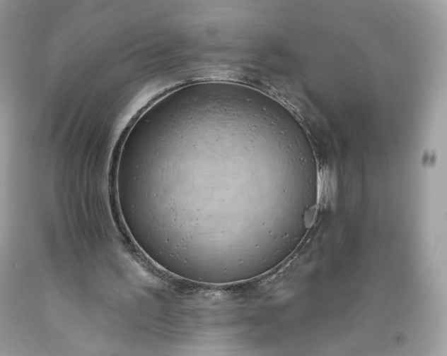 X0000093520195200710261227